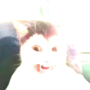 awful-no-good-blog avatar