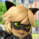 awkardphotosofchatnoir avatar