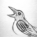 awkward-magpie avatar