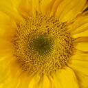 awkward-puddle avatar