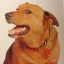 awkward-robot-dance avatar