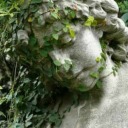 awkwardbasilisk avatar