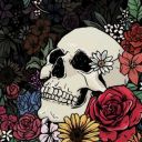 awkwardblackbear avatar