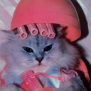 awkwardcherrybomb avatar