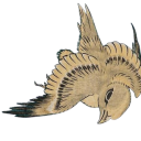 awkwardcourage avatar