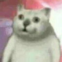 awkwardcrabby avatar