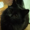 awkwardeccentric avatar