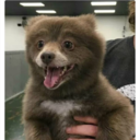 awkwarderthanyourmom avatar