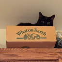 awkwardnesswillhappen avatar