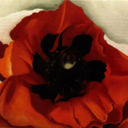 awkwardperiod-blog avatar