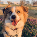 awkwardxsituations avatar