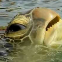 awkwardyunyoo22 avatar