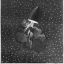 awolfwithnoname avatar