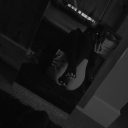 awonderland911 avatar