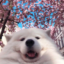 axanilda avatar