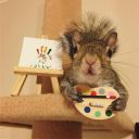 axelsagewrites avatar