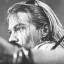 axlrosesarchive avatar