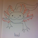 axolotl-art avatar