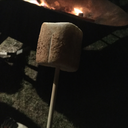 axolotl-in-space avatar