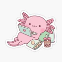 axolotl-on-a-beanbag avatar