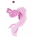 axolotl-on-a-string avatar