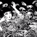 axolotl66-blog1 avatar