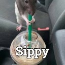 axolotlqueen14 avatar