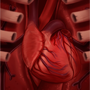 ay-heart-collection avatar