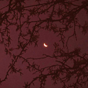 aybukebabaoglu-blog avatar