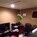 aycokguldumyeter avatar