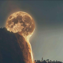 aycokyalnizgorunuyor avatar