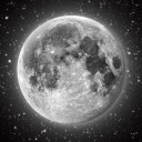 aydangeceyeyansiyan avatar