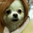 ayima-hamsandwich avatar