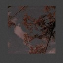 ayisiginingecesi89 avatar