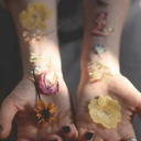 aylin113-blog-blog avatar