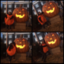 ayo--for--yayo avatar