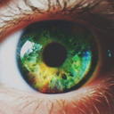 ayoungdreamer19 avatar