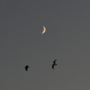 ayse123srbg-blog avatar