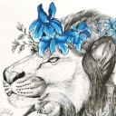 azureskies-owl avatar