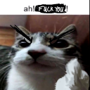 azzydoesstuff avatar