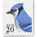 b-b-blueberry avatar