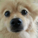 b-bubblegumbitch avatar