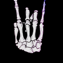 b-n-photography avatar