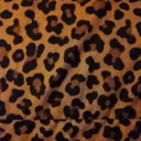 b0hemian-paradise avatar