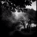 baadermeinhofcomplex avatar