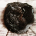 babar-is-real avatar