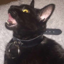 babe-you-look-so--cool avatar