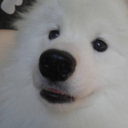 baberaham-drinkin avatar