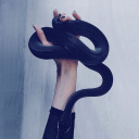 babewiththelibrary avatar