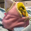 babiejamboree avatar